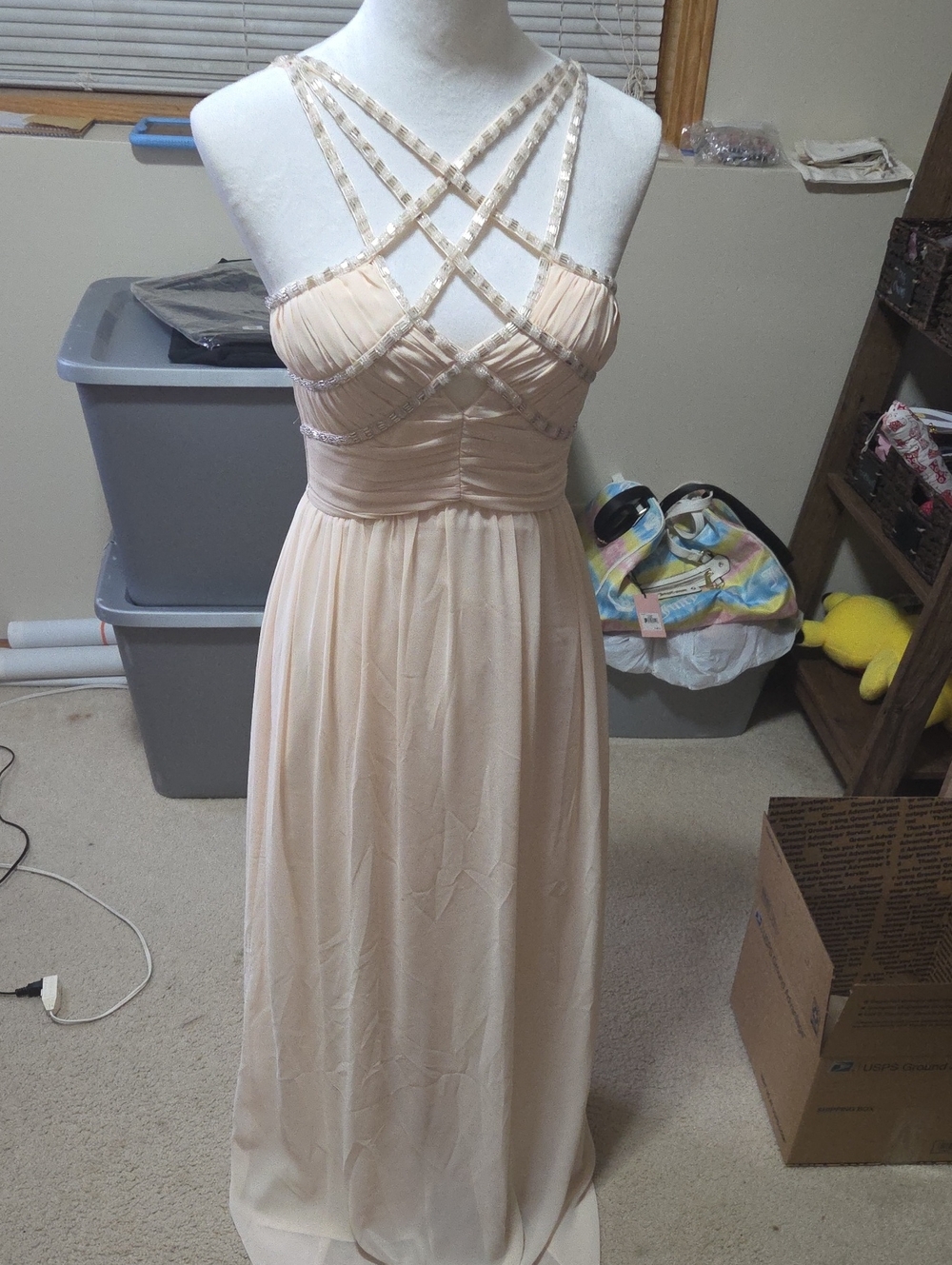 A. Drea  Strappy Chiffon Maxi Dress in Champagne